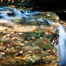 Autumn Falls
